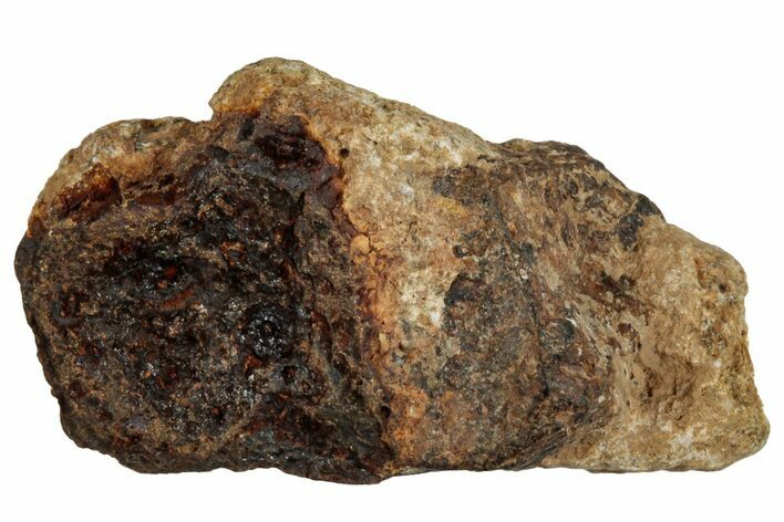 Agoudal Iron Meteorite ( g) - Morocco #288901